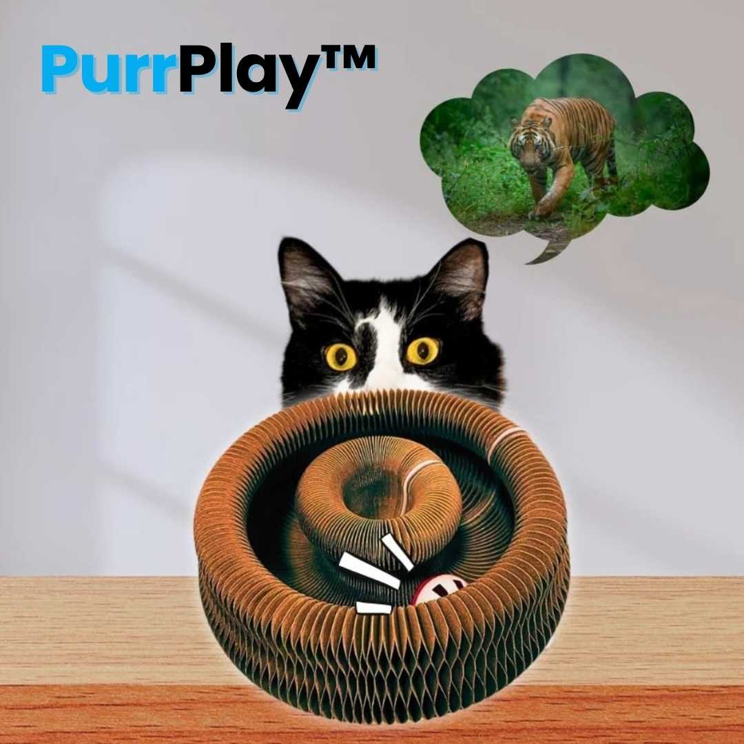 PurrPlay™ Rascador Modular Antiestrés